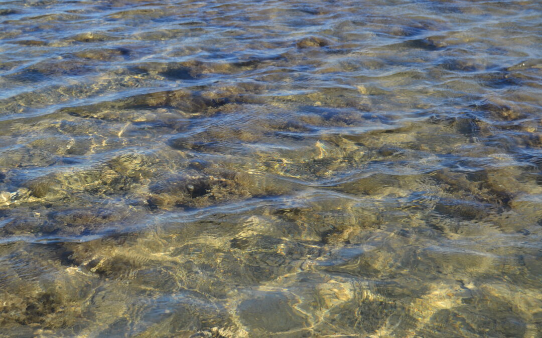 Isla de Itaparica