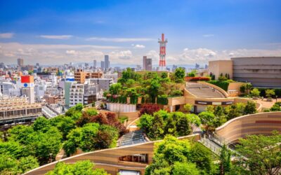Tips para sacarle partido a los viajes este verano