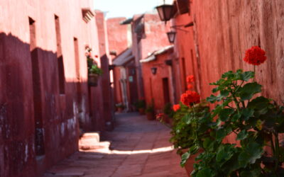 Arequipa